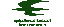 IRAQI AIRWAYS